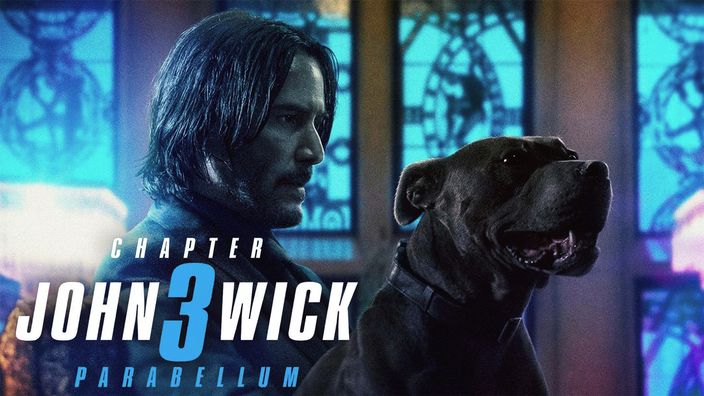 John Wick 3 Online Subtitrat In Romana Hd 1080p