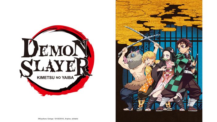 Demon Slayer: Kimetsu no Yaiba Tanjiro Kamado, Unwavering Resolve Arc